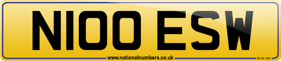 N100 ESW