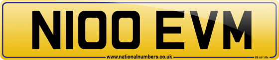 N100 EVM