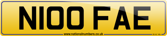 N100 FAE