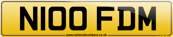 N100 FDM