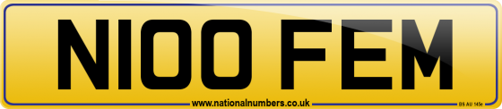 N100 FEM