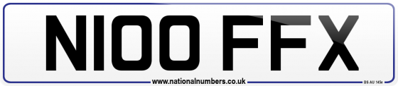 N100 FFX