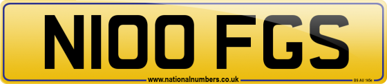 N100 FGS