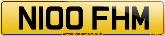 N100 FHM