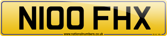 N100 FHX