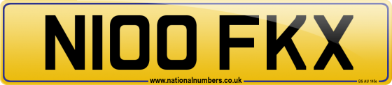 N100 FKX