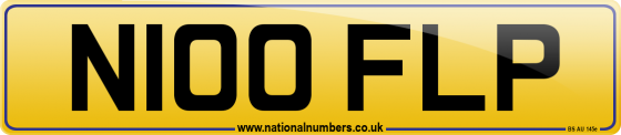 N100 FLP