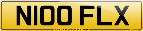 N100 FLX