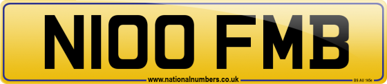N100 FMB