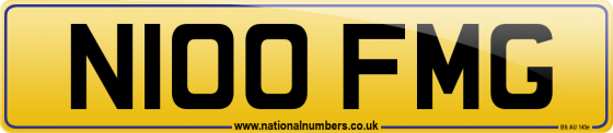 N100 FMG