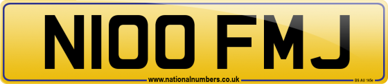 N100 FMJ