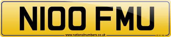 N100 FMU
