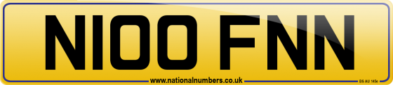 N100 FNN