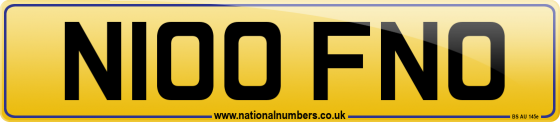 N100 FNO