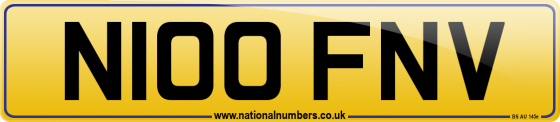 N100 FNV