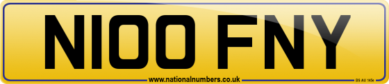 N100 FNY
