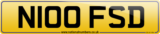 N100 FSD