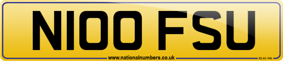 N100 FSU