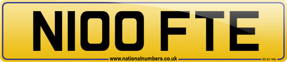 N100 FTE