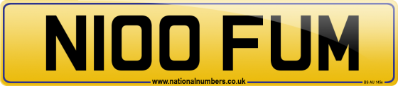 N100 FUM
