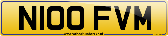 N100 FVM