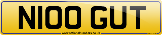 N100 GUT