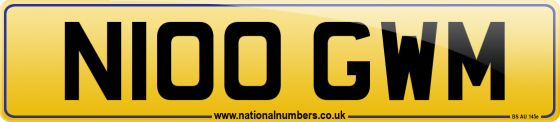 N100 GWM