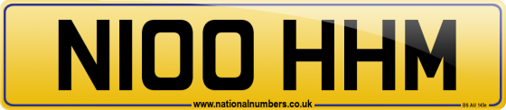 N100 HHM