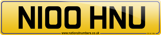 N100 HNU