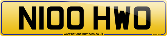 N100 HWO