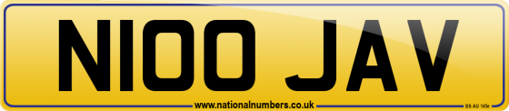 N100 JAV