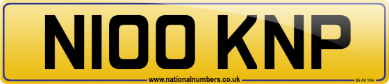 N100 KNP