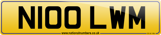 N100 LWM