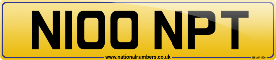 N100 NPT