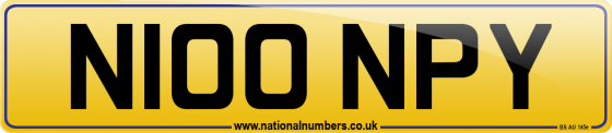N100 NPY