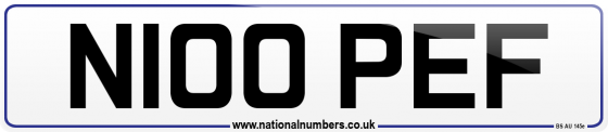 N100 PEF