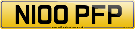 N100 PFP