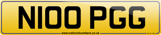 N100 PGG
