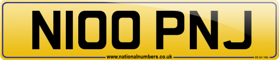 N100 PNJ