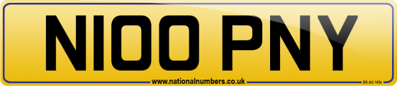 N100 PNY