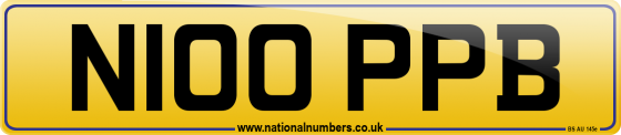 N100 PPB