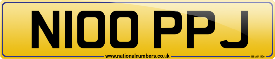 N100 PPJ