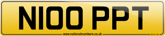 N100 PPT