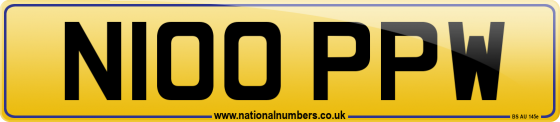 N100 PPW