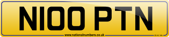 N100 PTN