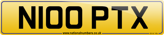 N100 PTX