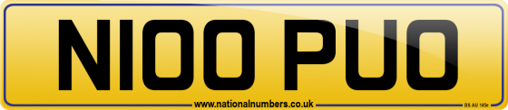 N100 PUO