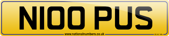 N100 PUS