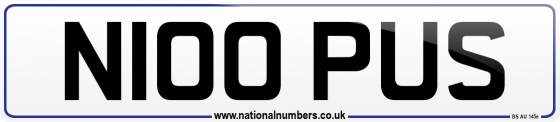 N100 PUS