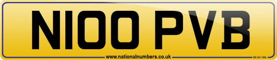 N100 PVB